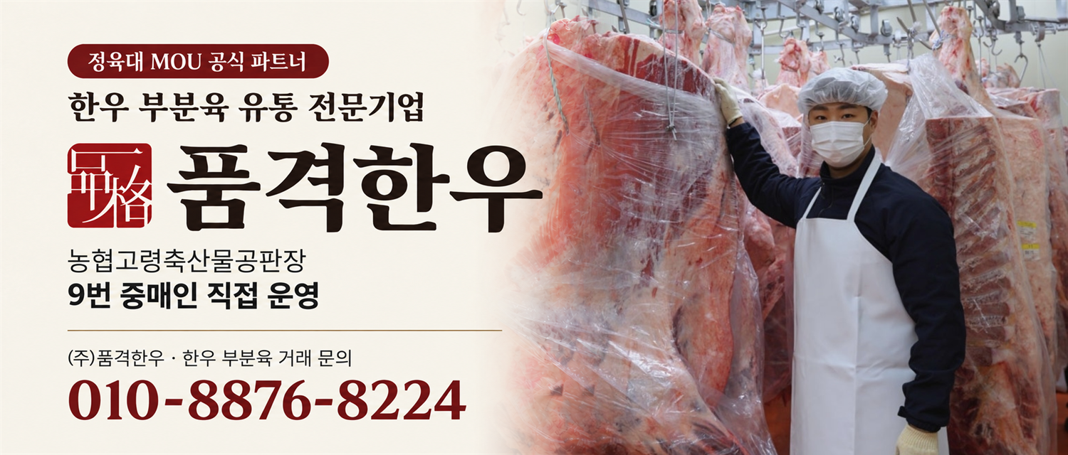 메인 배너